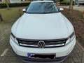 Volkswagen Tiguan Tiguan 1.4 TSI (BlueMotion Technology) Comfortline Wit - thumbnail 6