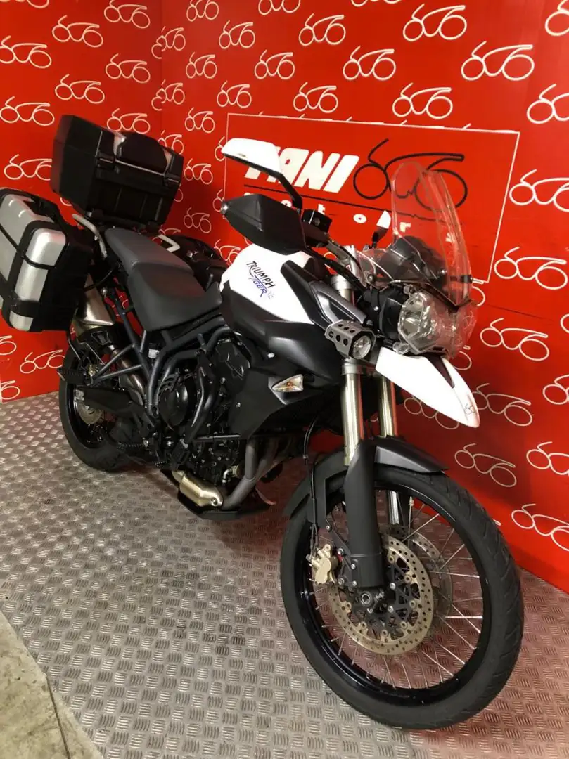 Triumph Tiger 800 XC Bianco - 2