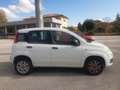 Fiat Panda Panda III 2012 0.9 t.air t. natural power Easy Bianco - thumbnail 5