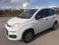 Fiat Panda Panda III 2012 0.9 t.air t. natural power Easy Bianco - thumbnail 1
