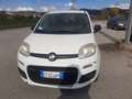 Fiat Panda Panda III 2012 0.9 t.air t. natural power Easy Bianco - thumbnail 2