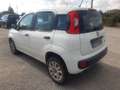 Fiat Panda Panda III 2012 0.9 t.air t. natural power Easy Bianco - thumbnail 8