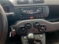 Fiat Panda Panda III 2012 0.9 t.air t. natural power Easy Bianco - thumbnail 10