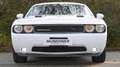 Dodge Challenger *LED*LEDER*KLIMATRONIK* Blanc - thumbnail 6