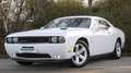 Dodge Challenger *LED*LEDER*KLIMATRONIK* Blanc - thumbnail 2