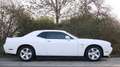 Dodge Challenger *LED*LEDER*KLIMATRONIK* Blanc - thumbnail 4