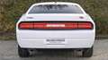 Dodge Challenger *LED*LEDER*KLIMATRONIK* Blanc - thumbnail 9