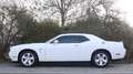 Dodge Challenger *LED*LEDER*KLIMATRONIK* Blanc - thumbnail 3