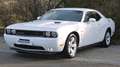 Dodge Challenger *LED*LEDER*KLIMATRONIK* Blanc - thumbnail 7