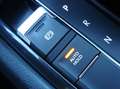 Volkswagen Tiguan Allspace Tiguan 2,0 DSG 190 PS Allspace 4-Motion 7-Sitze !! Gris - thumbnail 43