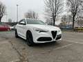 Alfa Romeo Stelvio 2.2 Turbo Diesel 210CV Veloce AT8 Q4 Bianco - thumbnail 5