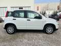 Fiat Panda MY22 Hybrid DAB Bluetooth Klima bijela - thumbnail 11