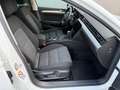 Volkswagen Passat Variant Passat 4M 2.0 200PS DSG*ACC*VIRTUAL*RFK*AHK Weiß - thumbnail 9