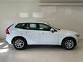 Volvo XC60 B4 (d) Geartronic Inscription Weiß - thumbnail 5