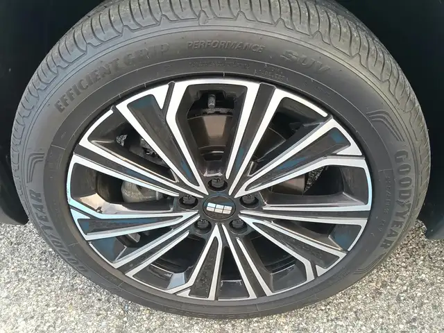 Geely Starray EM-I view 8