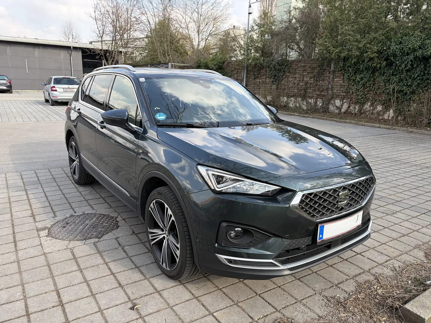 SEAT Tarraco Tarraco 2,0 TDI Xcellence DSG 4Drive Xcellence Grün - 2