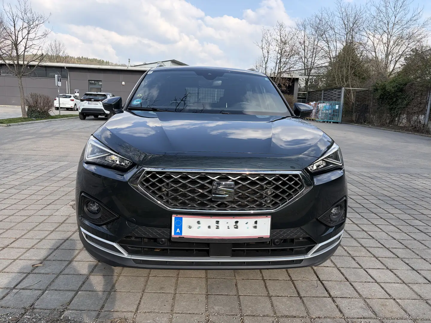 SEAT Tarraco Tarraco 2,0 TDI Xcellence DSG 4Drive Xcellence Grün - 1