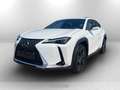 Lexus UX 300h 300h 2.0 urban 2wd cvt Wit - thumbnail 1