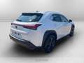Lexus UX 300h 300h 2.0 urban 2wd cvt Wit - thumbnail 5