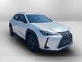 Lexus UX 300h 300h 2.0 urban 2wd cvt Wit - thumbnail 7