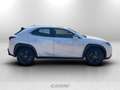 Lexus UX 300h 300h 2.0 urban 2wd cvt Wit - thumbnail 6