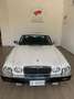 Jaguar XJ12 XJ12 5.3 White - thumbnail 3
