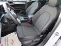 SEAT Leon 1.5TSI FR Keyless*LED*SHZ*Kamera*PDCv+h*8-f Weiß - thumbnail 8