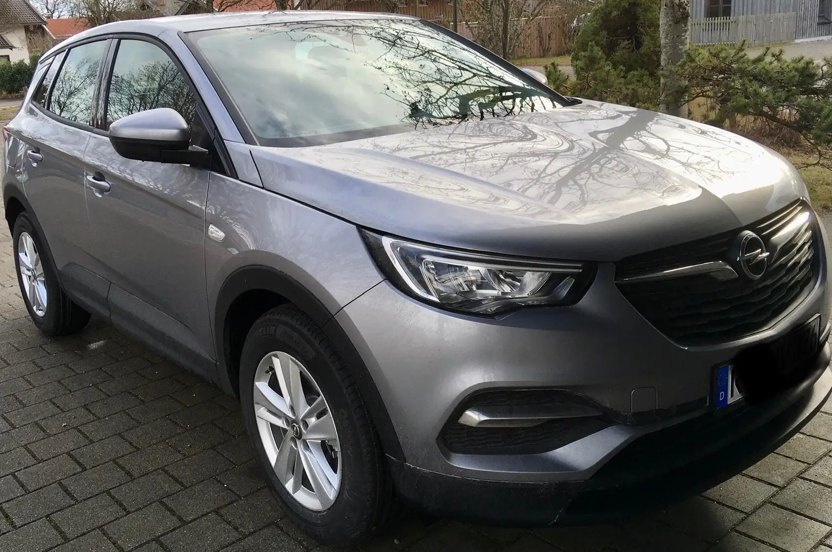 Opel Grandland X Grandland X 1.2 AHK-abn, Alu-WR, AutoHold,Garagenw Zilver - 2