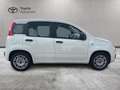 Fiat Panda Panda 1.2 Easy 69cv E6 Wit - thumbnail 3