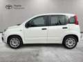 Fiat Panda Panda 1.2 Easy 69cv E6 Wit - thumbnail 2