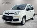 Fiat Panda Panda 1.2 Easy 69cv E6 Wit - thumbnail 1