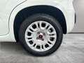 Fiat Panda Panda 1.2 Easy 69cv E6 Wit - thumbnail 13