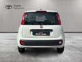 Fiat Panda Panda 1.2 Easy 69cv E6 Wit - thumbnail 11
