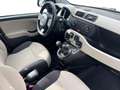 Fiat Panda Panda 1.2 Easy 69cv E6 Wit - thumbnail 14