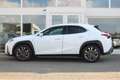 Lexus UX 250h Hybride AWD F-Sport Premium I Mark Lev. I Head up Blanco - thumbnail 15