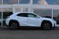 Lexus UX 250h Hybride AWD F-Sport Premium I Mark Lev. I Head up Blanco - thumbnail 14