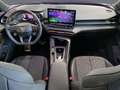 CUPRA Terramar 1.5 eTSI DSG AHK 19"Zoll Blau - thumbnail 8
