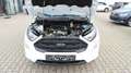 Ford EcoSport 1.0 ST-Line*1-Hand*Kamera*Navi*ST-Styl. Blanco - thumbnail 4