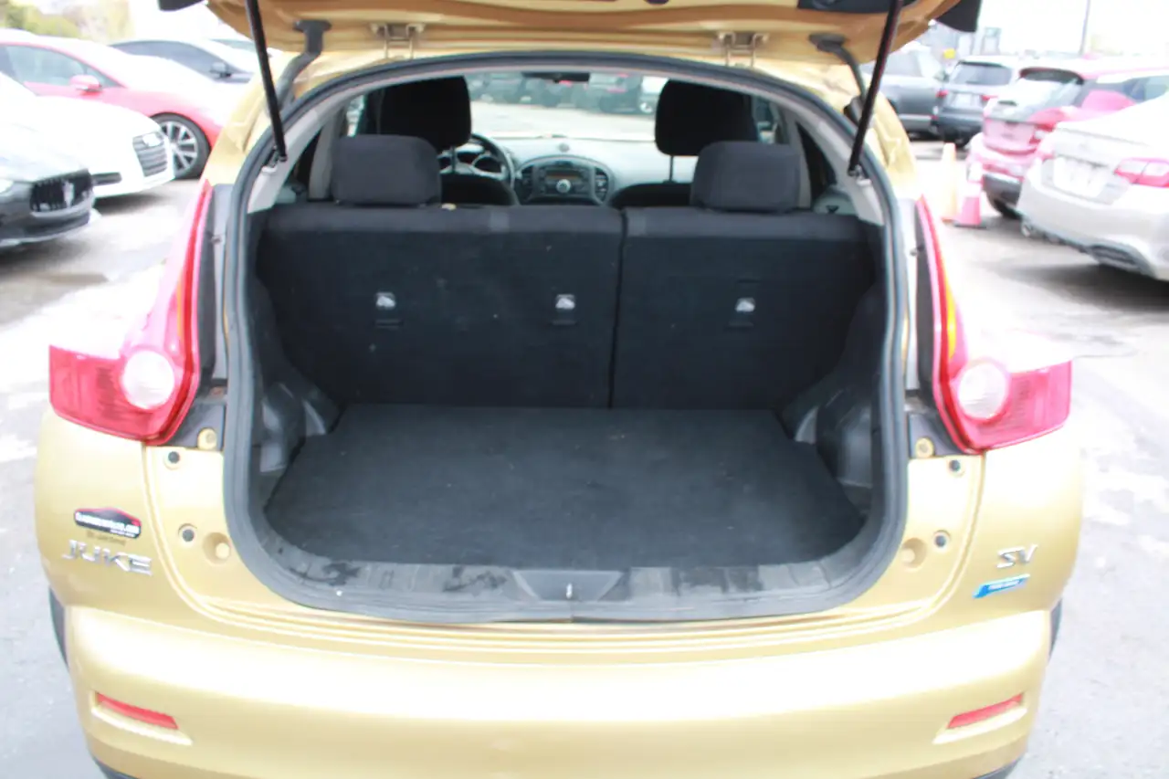 Nissan Juke снимка Nissan Juke