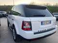 Land Rover Range Rover Sport Range Rover Sport 3.0 SDV6 Autobiography Bianco - thumbnail 3