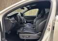 Skoda Octavia Combi 2,0 TDI RS DSG Weiß - thumbnail 10