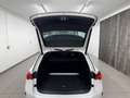 Skoda Octavia Combi 2,0 TDI RS DSG Weiß - thumbnail 40