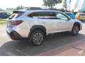 Subaru OUTBACK Active Black Edition Argent - thumbnail 8