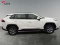 Toyota RAV 4 RAV4 2.5 Business Edition 2xKlima ACC AUT Kam. Alb - thumbnail 7