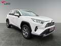 Toyota RAV 4 RAV4 2.5 Business Edition 2xKlima ACC AUT Kam. Alb - thumbnail 8