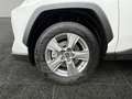 Toyota RAV 4 RAV4 2.5 Business Edition 2xKlima ACC AUT Kam. Alb - thumbnail 15