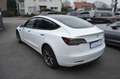 Tesla Model 3 Basis RWD 1.Hand Leder LED Weiß - thumbnail 10