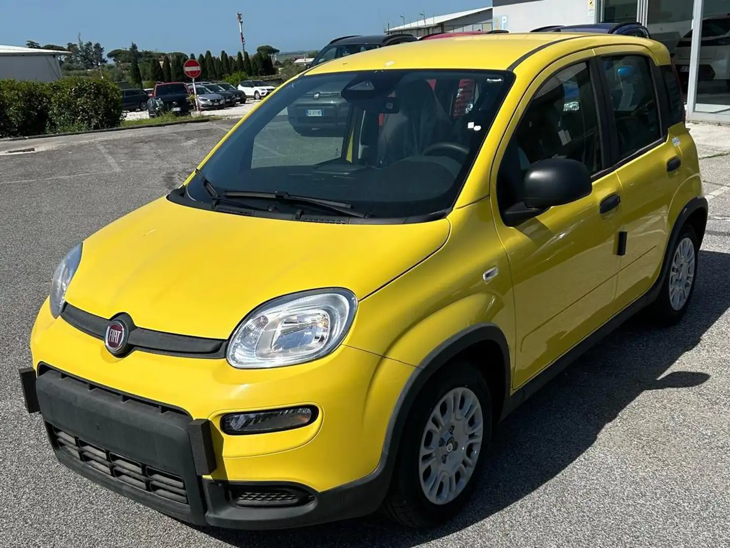 Fiat Panda 1.0 FireFly S&S Hybrid Pandina Geel - 1