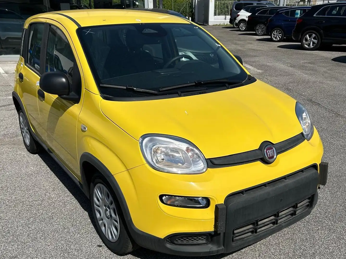 Fiat Panda 1.0 FireFly S&S Hybrid Pandina Geel - 2