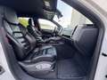 Porsche Cayenne II 3,0 Aut.|GTS-LOOK|V8-SOUND|STERNENHIMMEL Weiß - thumbnail 12